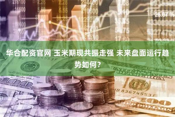 华合配资官网 玉米期现共振走强 未来盘面运行趋势如何？