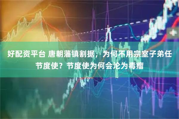 好配资平台 唐朝藩镇割据，为何不用宗室子弟任节度使？节度使为何会沦为毒瘤