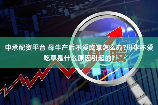中承配资平台 母牛产后不爱吃草怎么办?母牛不爱吃草是什么原因引起的?